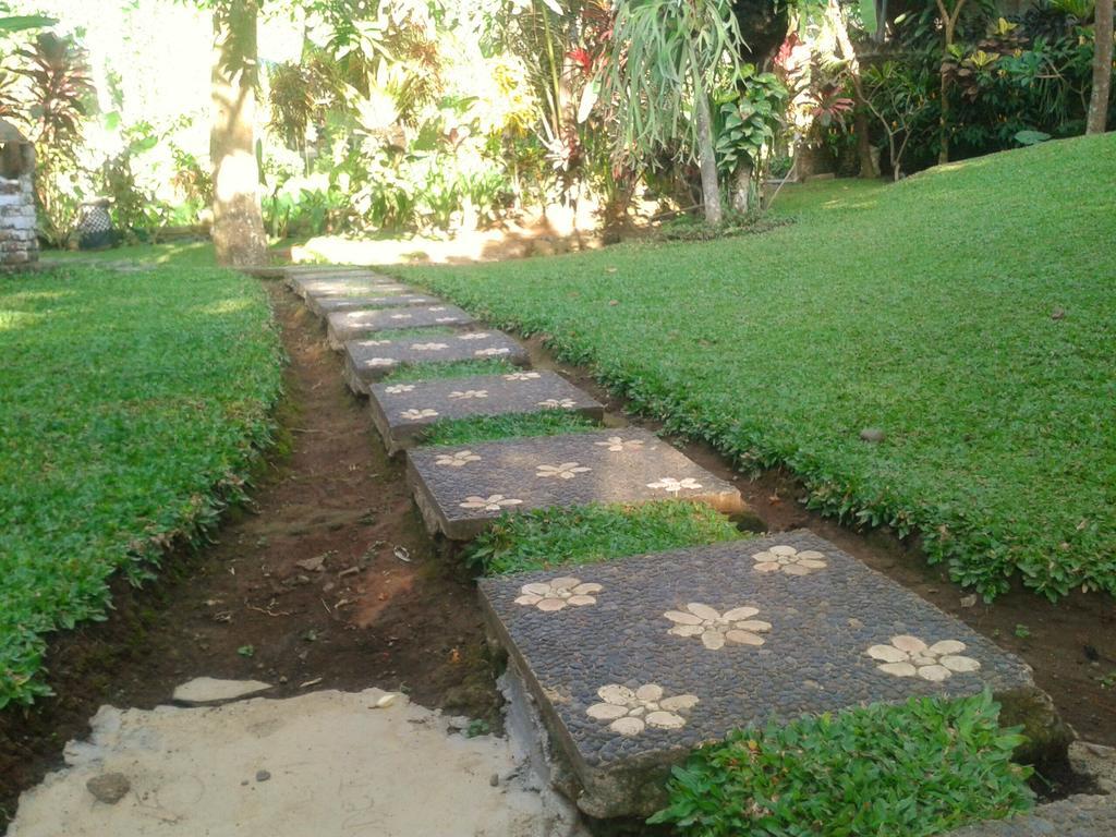 Indraprastha Ubud Home Stay Pokoj fotografie