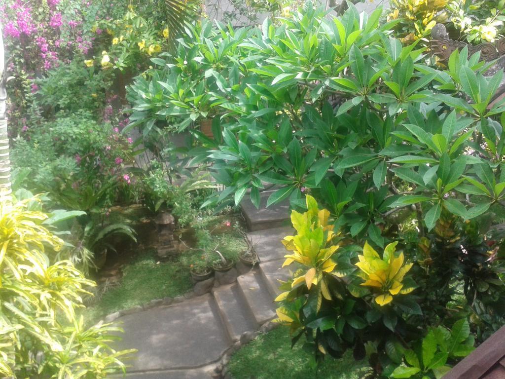 Indraprastha Ubud Home Stay Pokoj fotografie