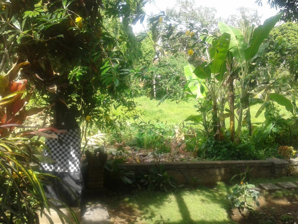 Indraprastha Ubud Home Stay Exteriér fotografie