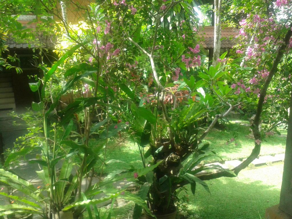 Indraprastha Ubud Home Stay Pokoj fotografie